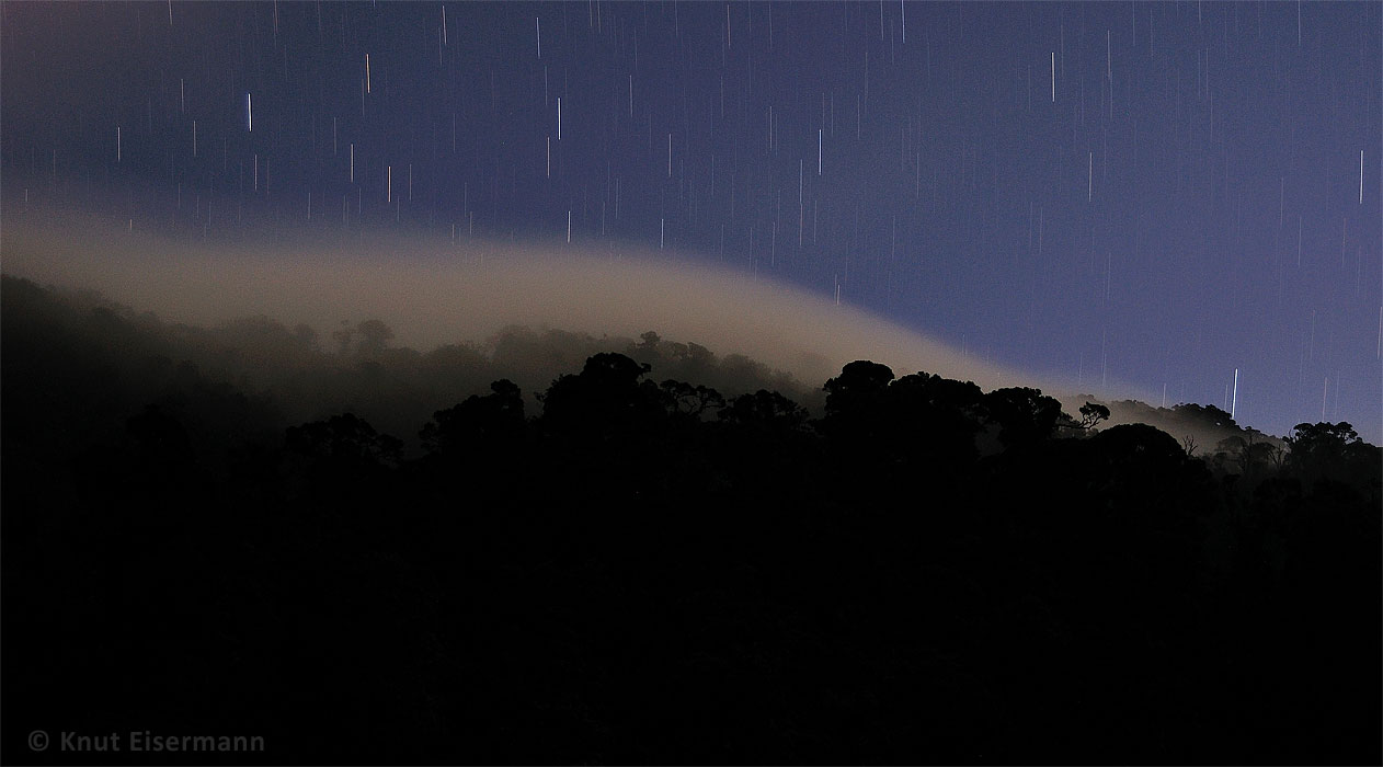 Dawn over a cloudforest in Guatemala by Knut Eisermann